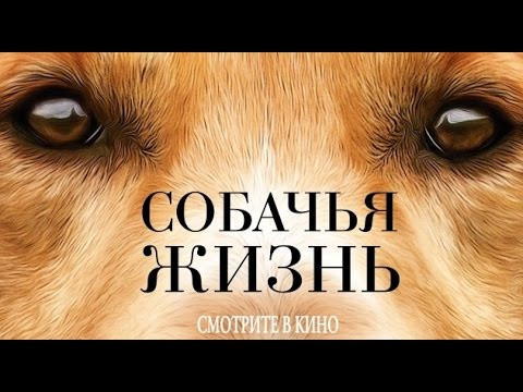 Собачья жизнь