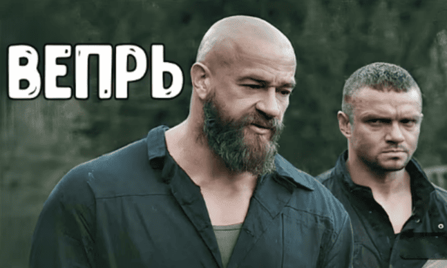 Ему не следовало вмешиваться не в свое дело / Вепрь