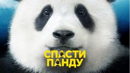 Спасти панду 2020 комедия