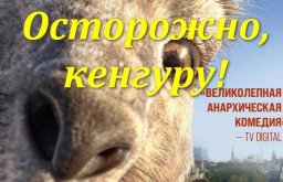 Осторожно, сумчатка! 2020